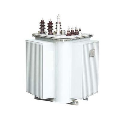 S13 S14 MRL روغن غوطه ور ترانسفورماتور 10 / 0.4KV 30-1600KVA